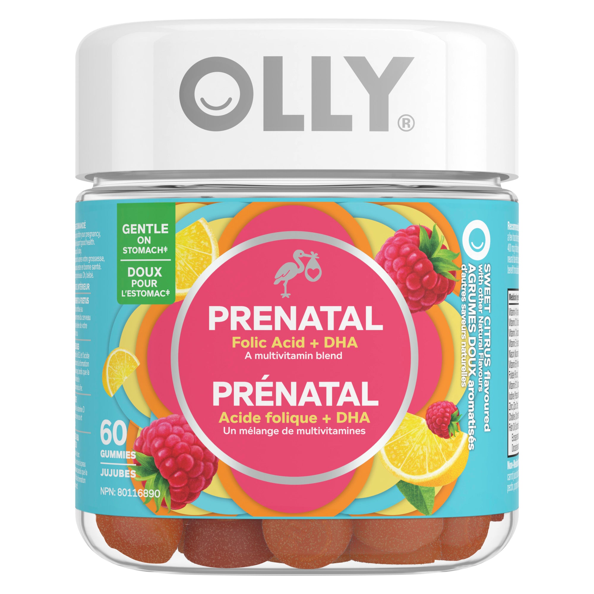 An image showing the frontside view of the OLLY® Prenatal Multi Gummies product packaging.